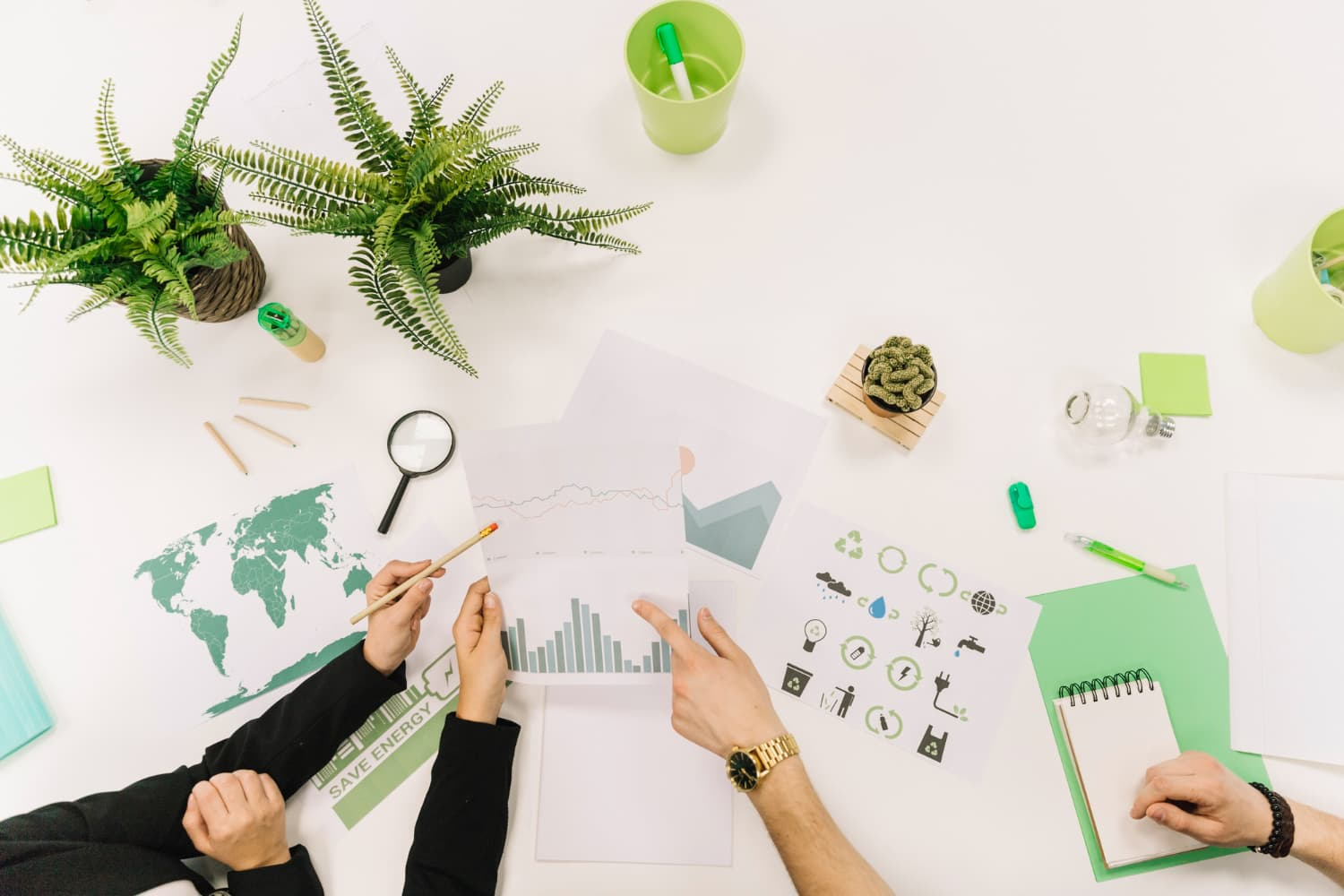 Sustainability in Business: Balancing Profit and Purpose